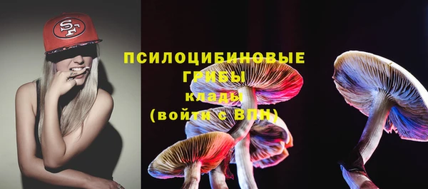 твердый Абаза