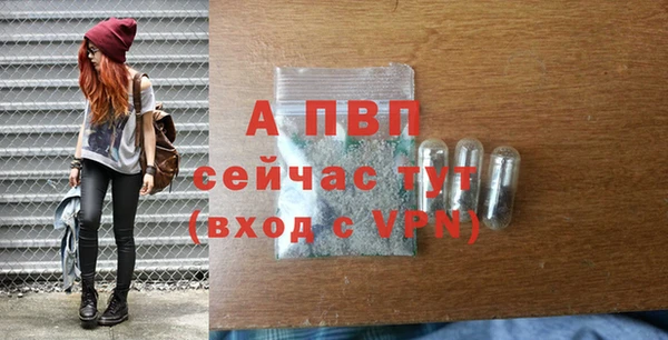 твердый Абаза