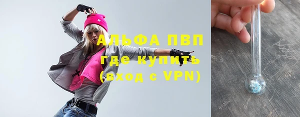 твердый Абаза