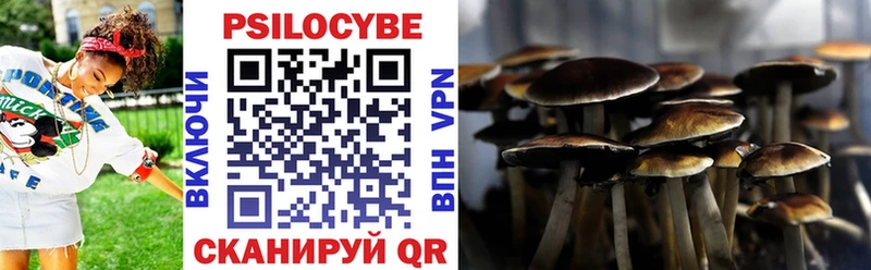 Псилоцибиновые грибы Cubensis  ОМГ ОМГ ТОР  Бежецк  наркошоп 
